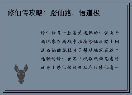 修仙传攻略:踏仙路,悟道极