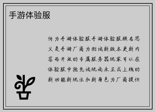手游体验服